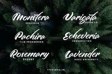 Artline Fancy Script Fonts