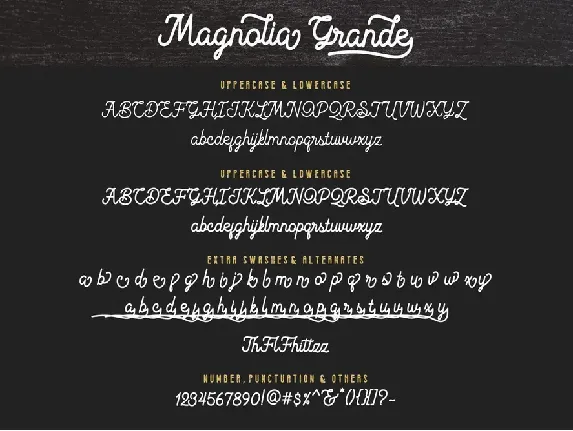 Magnolia Grande - Monoline Script Font