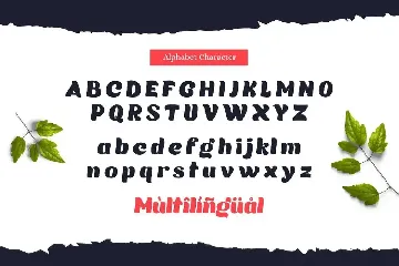 Moilgo font