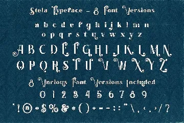 Stela - Display Font