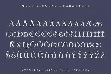 Guacheva font