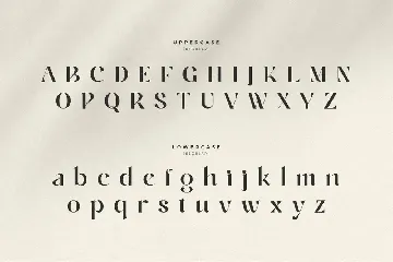 Alifira - Beauty Elegant Font