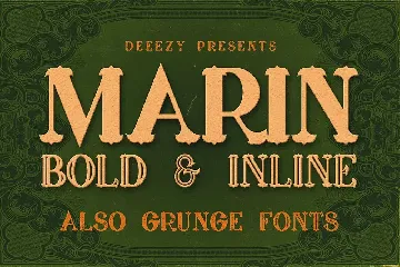 5 Fonts Bundle 4