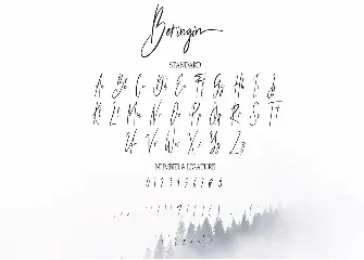 Beringin Stylish Signature Font