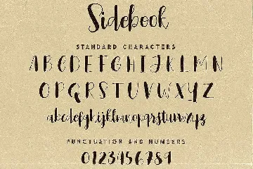 Sidebook Script Font