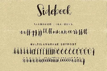 Sidebook Script Font