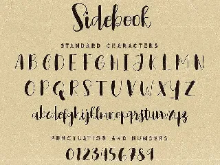 Sidebook Script Font