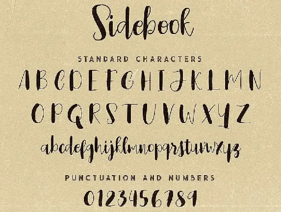 Sidebook Script Font