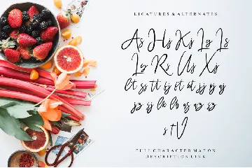 AMR Wiltasso font