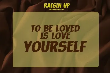 RAISIN UP - Modern Display Font