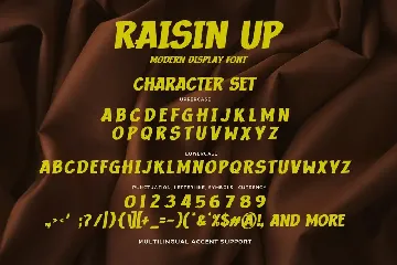 RAISIN UP - Modern Display Font