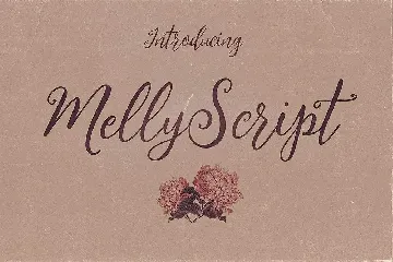 Melly Script Font Duo