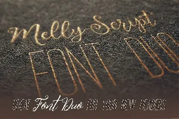 Melly Script Font Duo