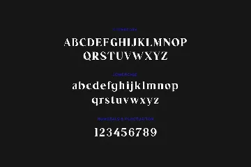 Vinka Duscha Modern Serif Font