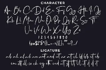 Santique Signature Script Font