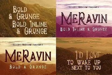 5 Fonts Bundle 1