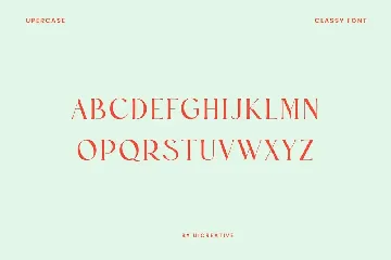 Bohemian Stylish Luxury Serif Font