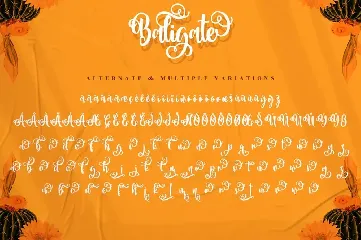 Baligate - Swash Font