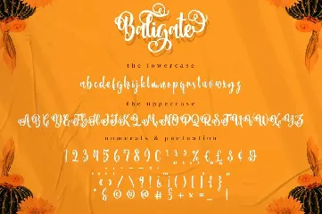 Baligate - Swash Font