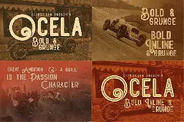 5 Fonts Bundle 2