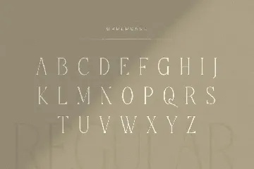 Legacy - Modern Luxury Ligature Font