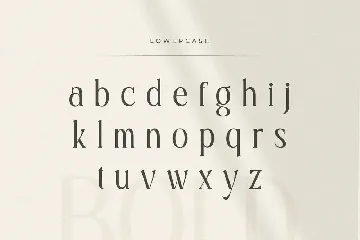 Legacy - Modern Luxury Ligature Font