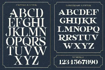 Propagate - Vintage Serif font