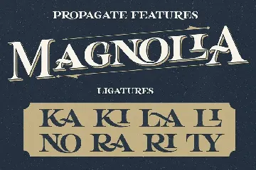 Propagate - Vintage Serif font