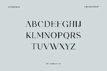 Kinematical Elegant Serif Font