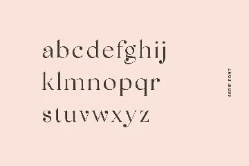 Polluxie Feminine Serif Font