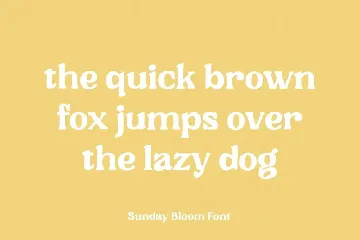 Sunday Bloom font