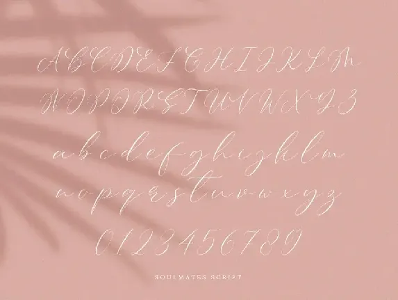 Soulmates Script font