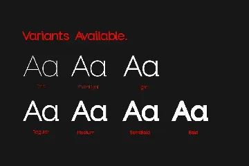 Neue Leiden Typeface font