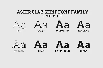 Aster Slab Serif Font Family