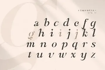 Babeque - Modern Luxury Serif Font