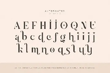 Babeque - Modern Luxury Serif Font