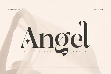 Babeque - Modern Luxury Serif Font