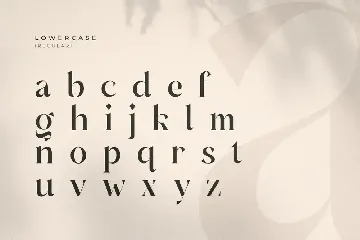 Babeque - Modern Luxury Serif Font