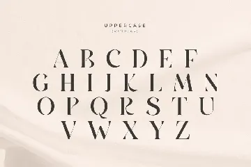 Babeque - Modern Luxury Serif Font