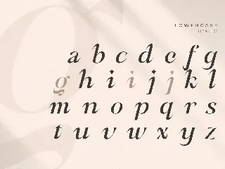 Babeque - Modern Luxury Serif Font