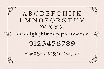 Fistalle Modern Serif With Ligature font