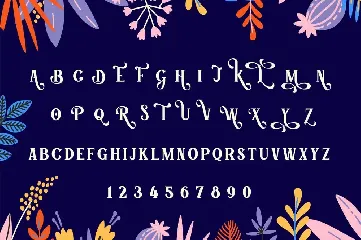 Tumbled Serif Font