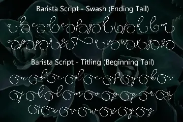 Barista Script font