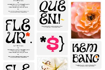 Eureka Serif Display Font