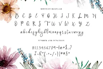 Mottion font