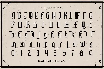 Black Stable font