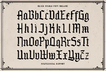 Black Stable font