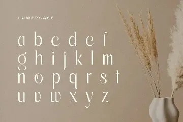 Silky - Elegant Aesthetic Sans Serif font