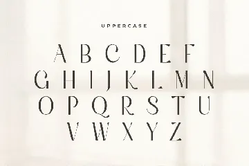 Silky - Elegant Aesthetic Sans Serif font