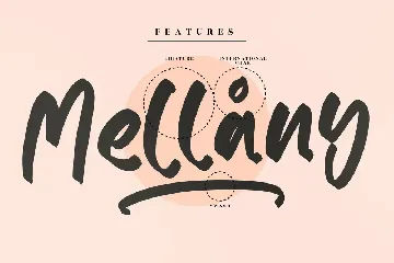 Moody Handwritten Font